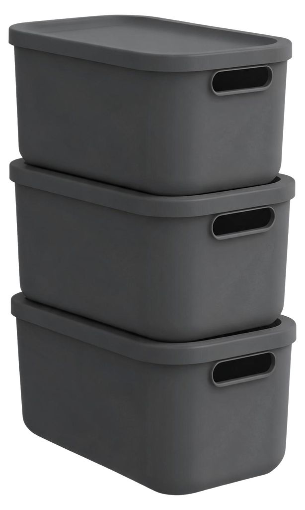 Rotho Aufbewahrungsbox 3er-Set 12 l Albula Light – Produktbild 