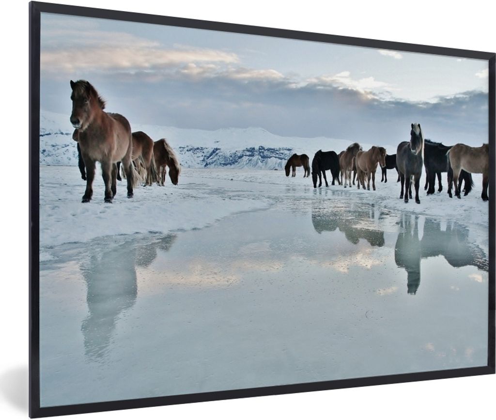 MuchoWow Gerahmtes Poster Pferde - Eis - Schnee 30x20 cm - Poster mit Schwarzem Bilderrahmen Wandposter Rahmen Foto Bilder - Kunstdruck - Bild-Po...