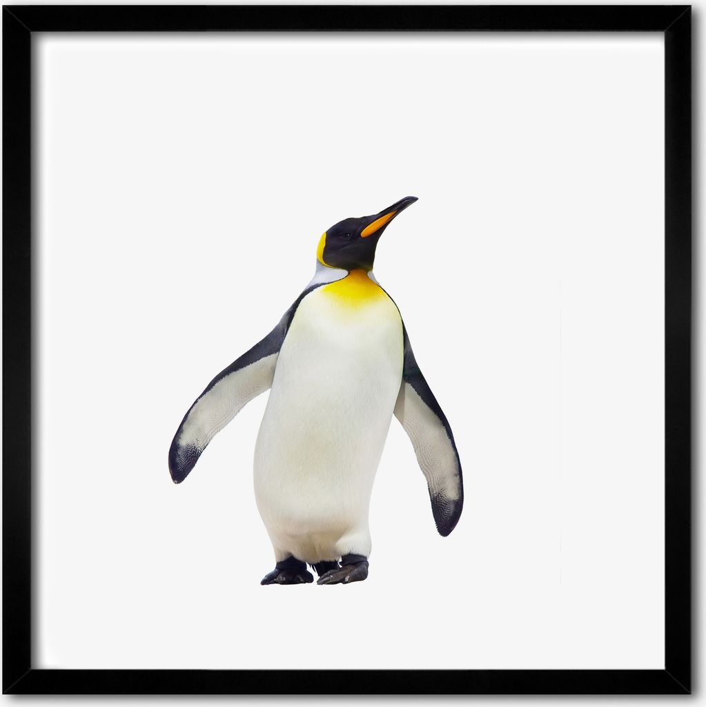 Bild - 50 cm x 50 cm - MDF - Rahmen, Wandkunst - Pinguin