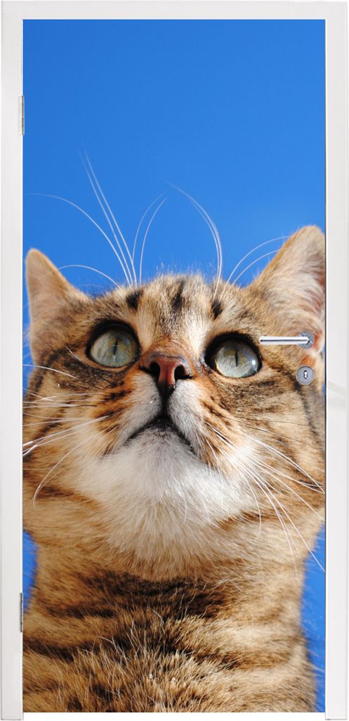 MuchoWow Türtapete Selbstklebende Türfolie Katze - Braun - Luft - Mädchen - Jungen - Kinder 90x235 cm Türposter Türaufkleber Klebefolie Tür...