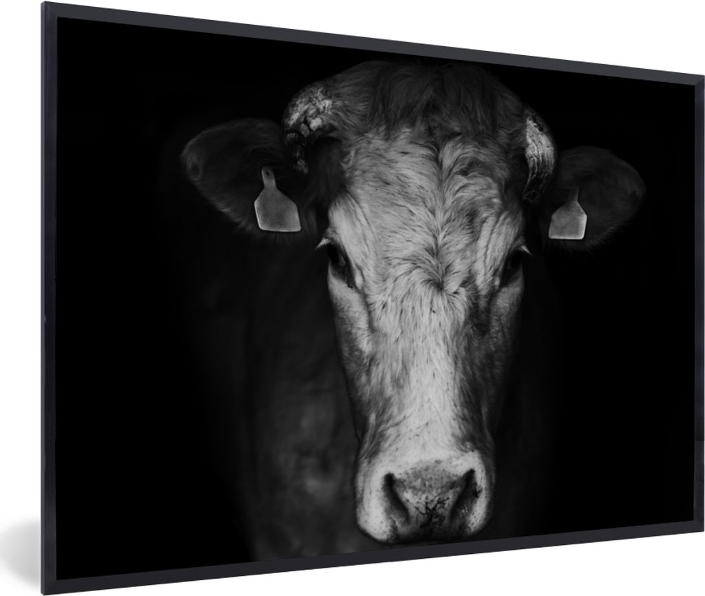MuchoWow Gerahmtes Poster Tiere - Kuh - Schwarz - Weiß - Kuhkopf 30x20 cm - Poster mit Schwarzem Bilderrahmen Wandposter Rahmen Foto Bilder - Ku...