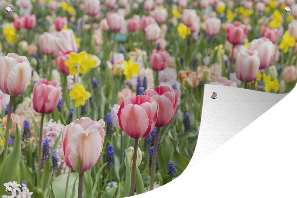MuchoWow 90x60 cm Outdoor-Poster Gartendeko Sichtschutz Garten Poster für den Garten Tulpengarten