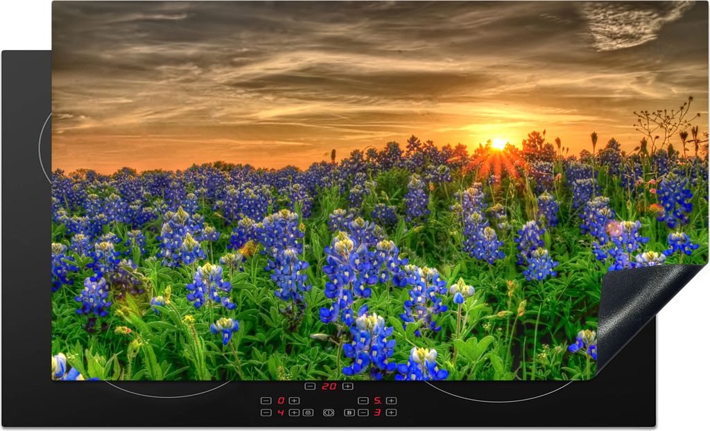 KitchenYeah Herdabdeckplatte Texas Bluebonnet Blumen in einem Feld bei Sonnenuntergang , 91x52cm, Küche Deko, Glaskeramikkochfeld Herdabdeckung,...