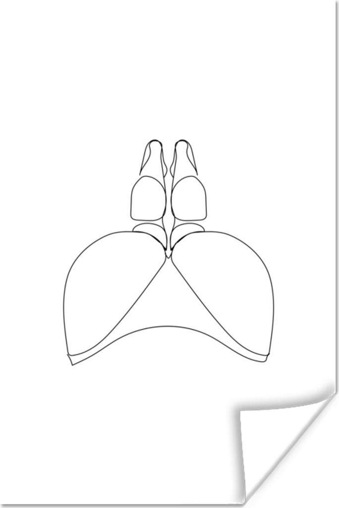 MuchoWow Poster Frau - Strichzeichnung - Gesäß 40x60 cm - Plakate für die Wand - Poster Babyzimmer