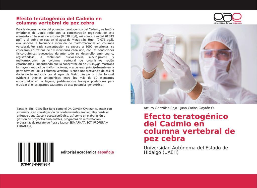 Efecto teratogénico del Cadmio en columna vertebral de pez cebra