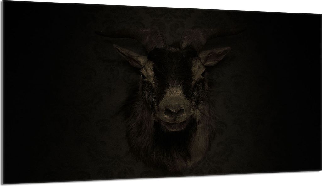 Glasschutzplatte für den Herd 90x52 Koza