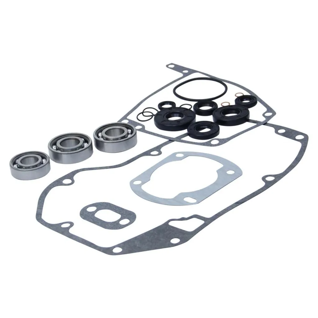 Kit étanchéité moteur Sachs 506/3 SKF pour Hercules Prima GT GX Pronto