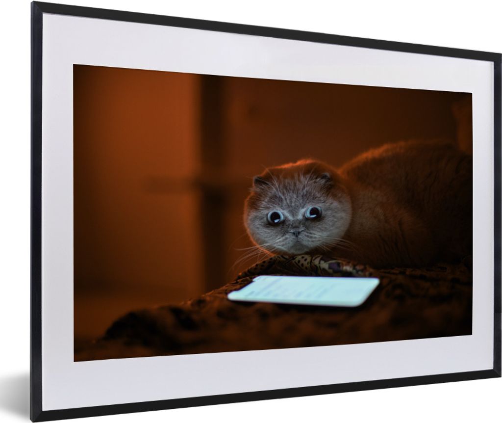 MuchoWow MuchoWow Gerahmtes Poster Komische Katze schaut auf ein Telefon 60x40 cm - Poster mit zchwarzem Bilderrahmen - Schlafzimmer - Plakat i...