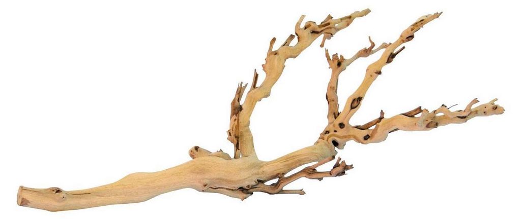 Exo Terra Forest Branch sandgestrahlter Ast für Terrarien Produktbild 