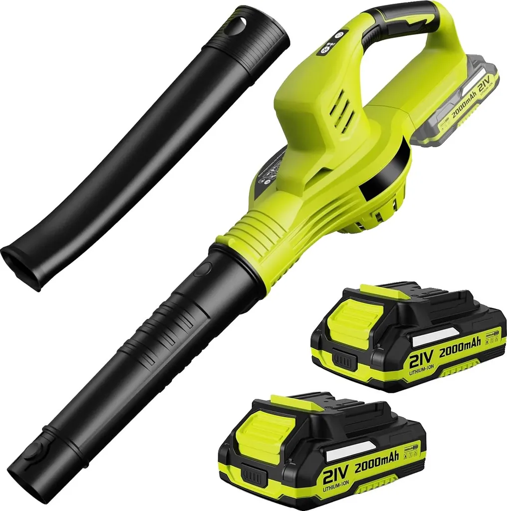 Souffleur de feuilles sans fil moteur puissant et double batterie 2Ah
