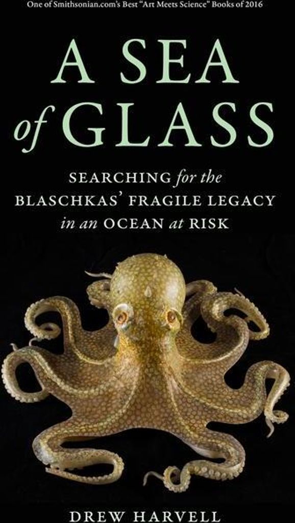 Sea Of Glass A – Lingua: Inglese