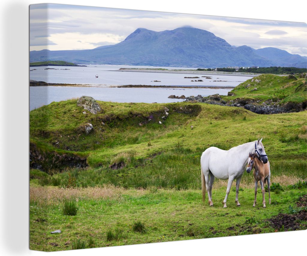 OneMillionCanvasses - Leinwandbilder - 140x90 cm, Mutterpferd und Fohlen in Irland, Wandbilder Kunstdruck Wanddekoration