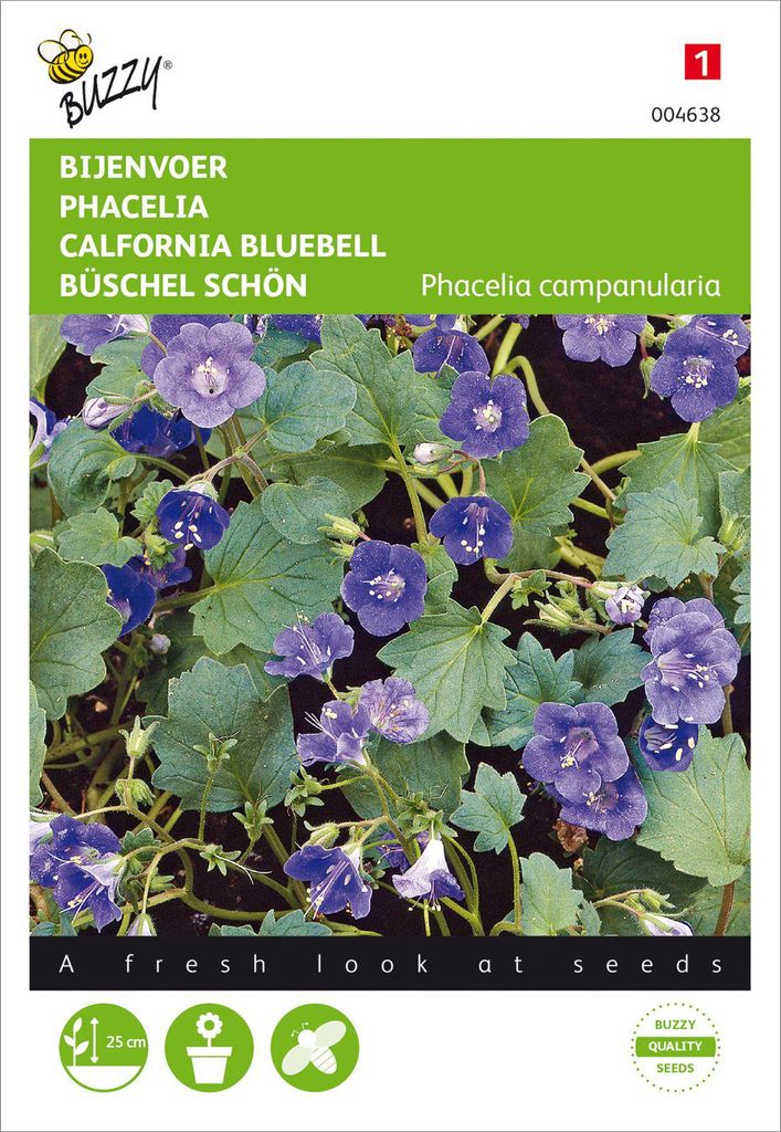 Phacelia Büschel Schön | Phaceliasamen von Buzzy Seeds