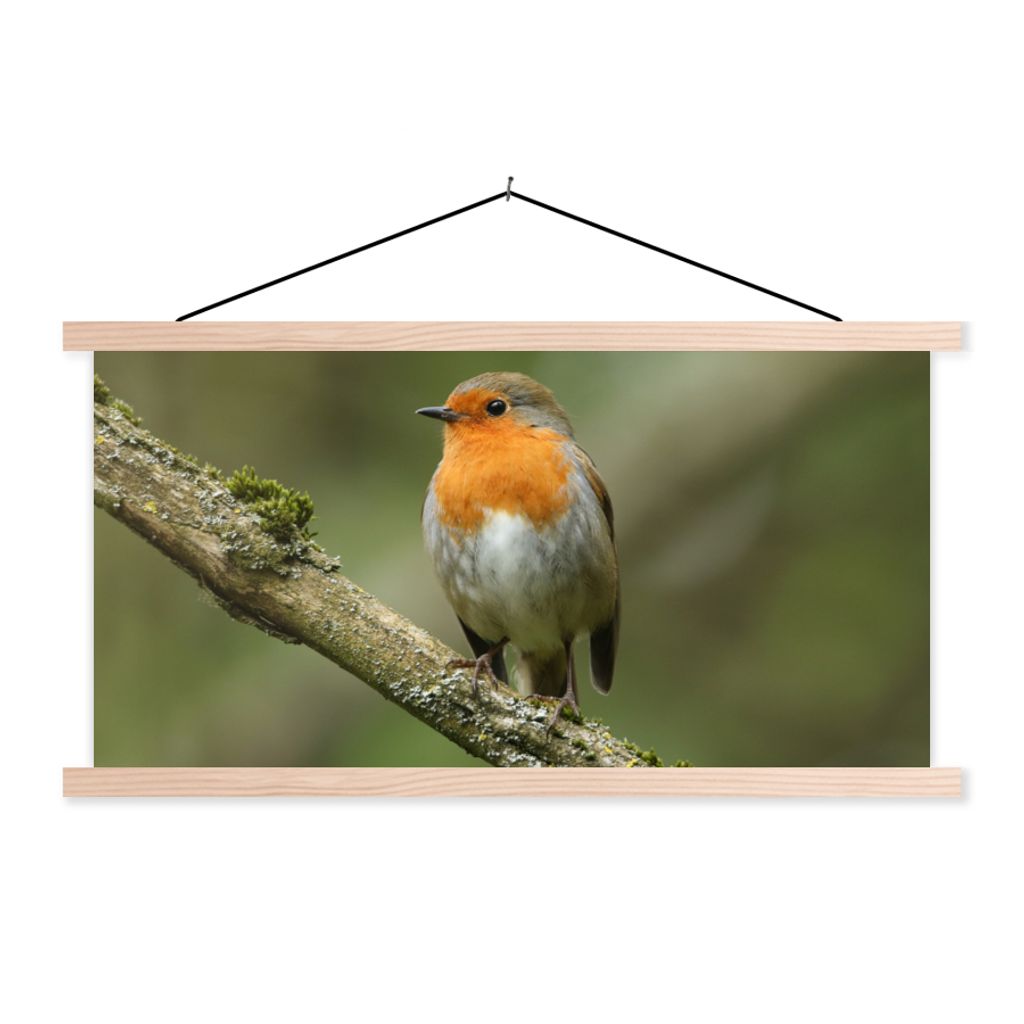 MuchoWow Textilposter Vogel - Rotkehlchen - Zweig - Pflanzen 150x75 cm mit holzfarbenen Rahmen - Plakate