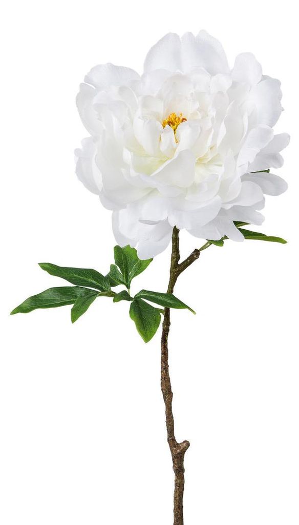 Künstliche Peonie ca. 66cm. XXL Kunstblume Pfingstrose Bauernrose Weiß