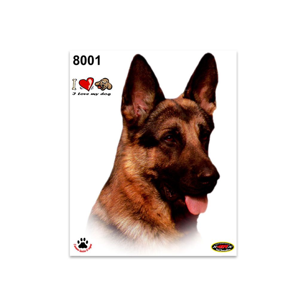 Sticker Deutscher Schäferhund 14 x 16 cm