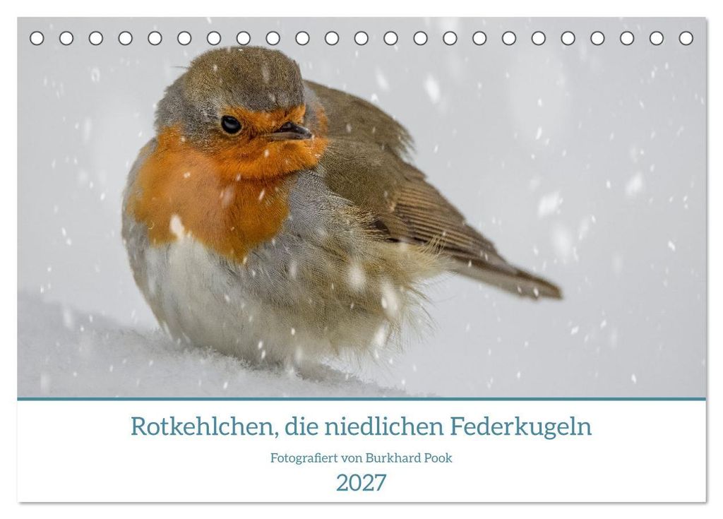 Rotkehlchen, die niedlichen Federkugeln (Tischkalender 2027 DIN A5 quer), CALVENDO Monatskalender