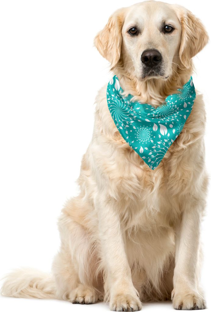 ABAKUHAUS Türkis Haustier Bandana, Stielen und Punkte Weinlese, 55x55 cm, Türkis Weiß
