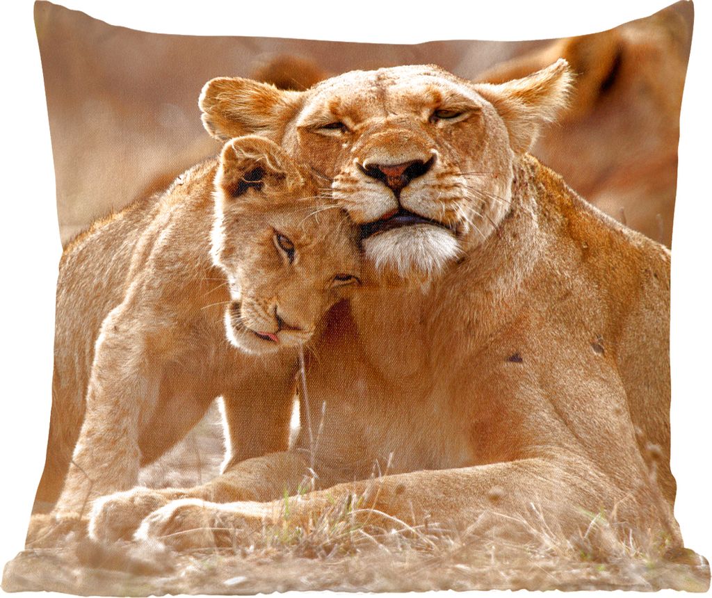 MuchoWow Zierkissen Sofakissen Wohnzimmer Dekokissen 45x45 cm Löwe - Wilde Tiere - Jungtier - Schlafpolster - Polster für das Sofa