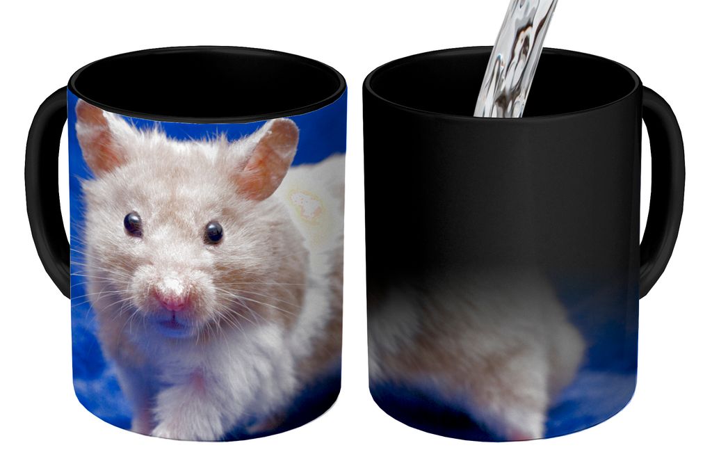 KitchenYeah Zauber Tasse Zaubertasse Magic Syrischer Hamster 350 ml Farbwechsel Becher Geschenk Geschenkidee - Magic-Tasse - Fototasse - Keramikt...