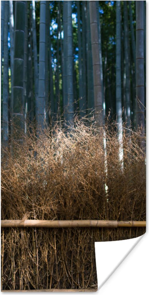 MuchoWow® Poster Arashiyama-Bambusbäume in einem Wald Japan Produktbild 
