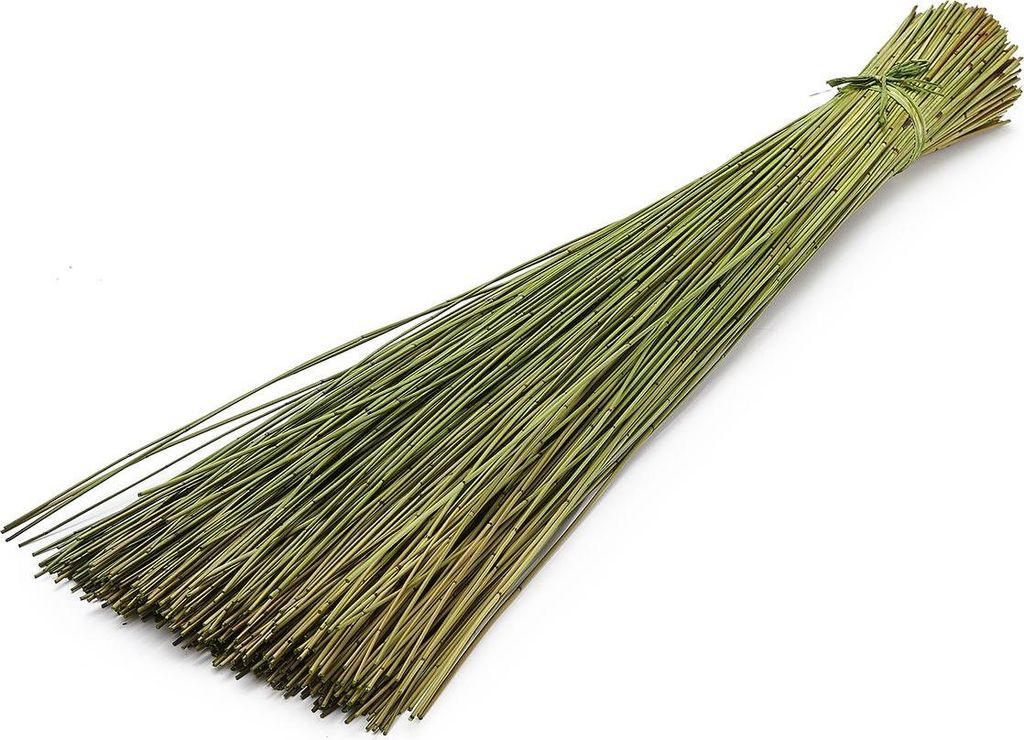 Vleireed 75cm 1kg in 7 Farben zur Auswahl | Restio giganteus, Farbe:Apfelgrün