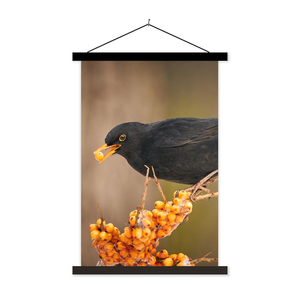 MuchoWow Textilposter Vogel - Amsel - Winter - Eis - Beere 120x180 cm mit schwarzem Rahmen - Fotos