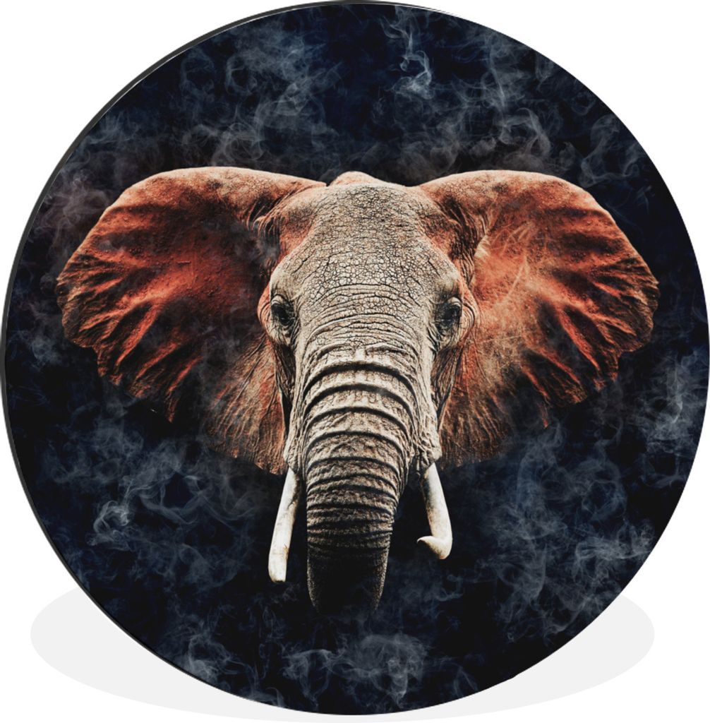 MuchoWow Aluminium Wandkreis Elefant - Rot - Tiere Ø 90 cm Wanddeko Modern Wohnzimmer - Mauerkreis - Wandbilder - Runde Bild - Bild aus Aluminiu...
