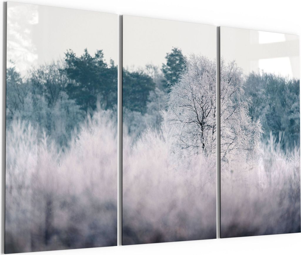 DEQORI Glasbild Echtglas 3x50x100 cm 'Eisiger Morgen im Wald' Wandbilder XXL groß