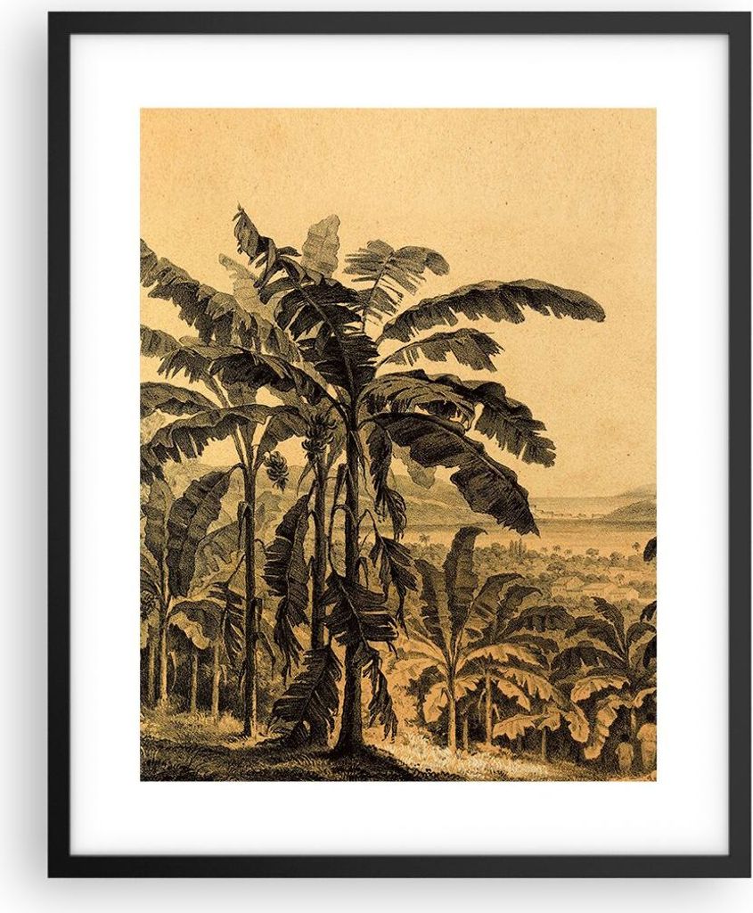 Gerahmtes Poster - Schwarzer Rahmen - Palmen Wald Regnerisch - 40x50 cm - Wand Bild - Wanddeko - Wandbilder - Kunstposter - Wandposter - Bilderrahm...