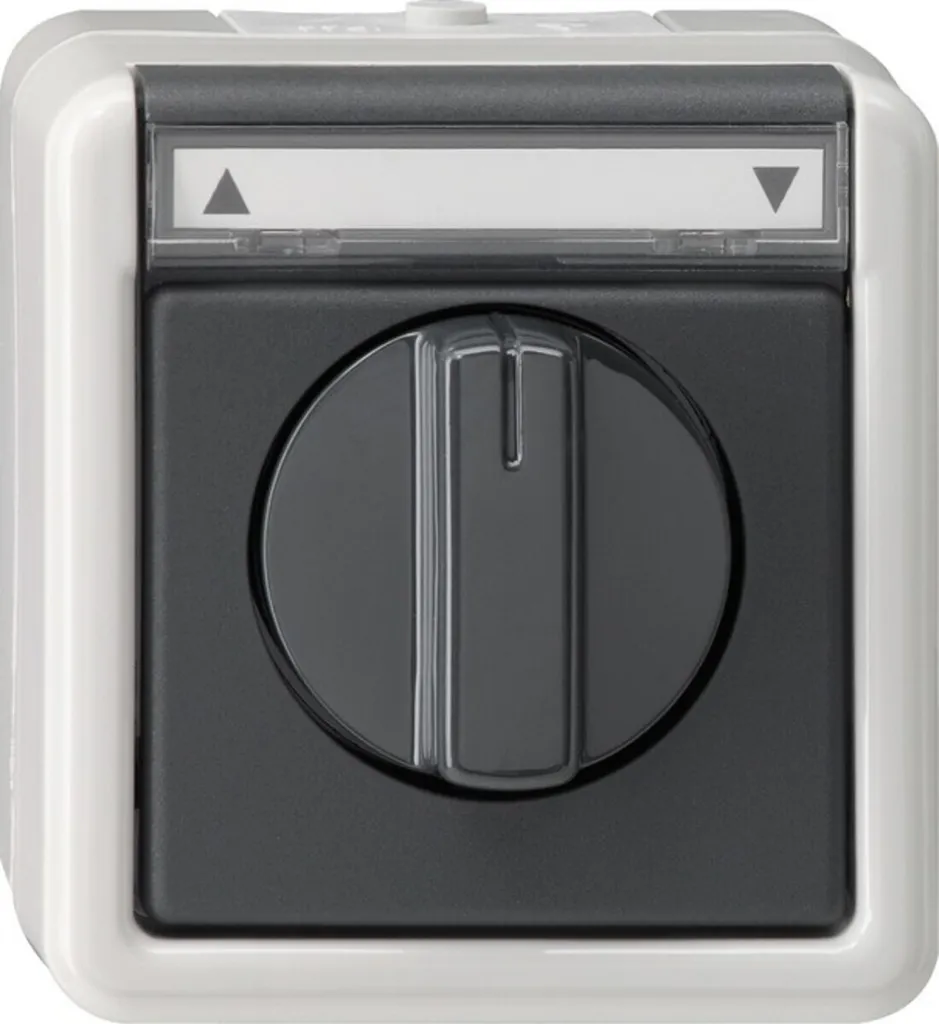 Interrupteur GIRA 015430 Noir Gris pour Rénovation Électrique de Design