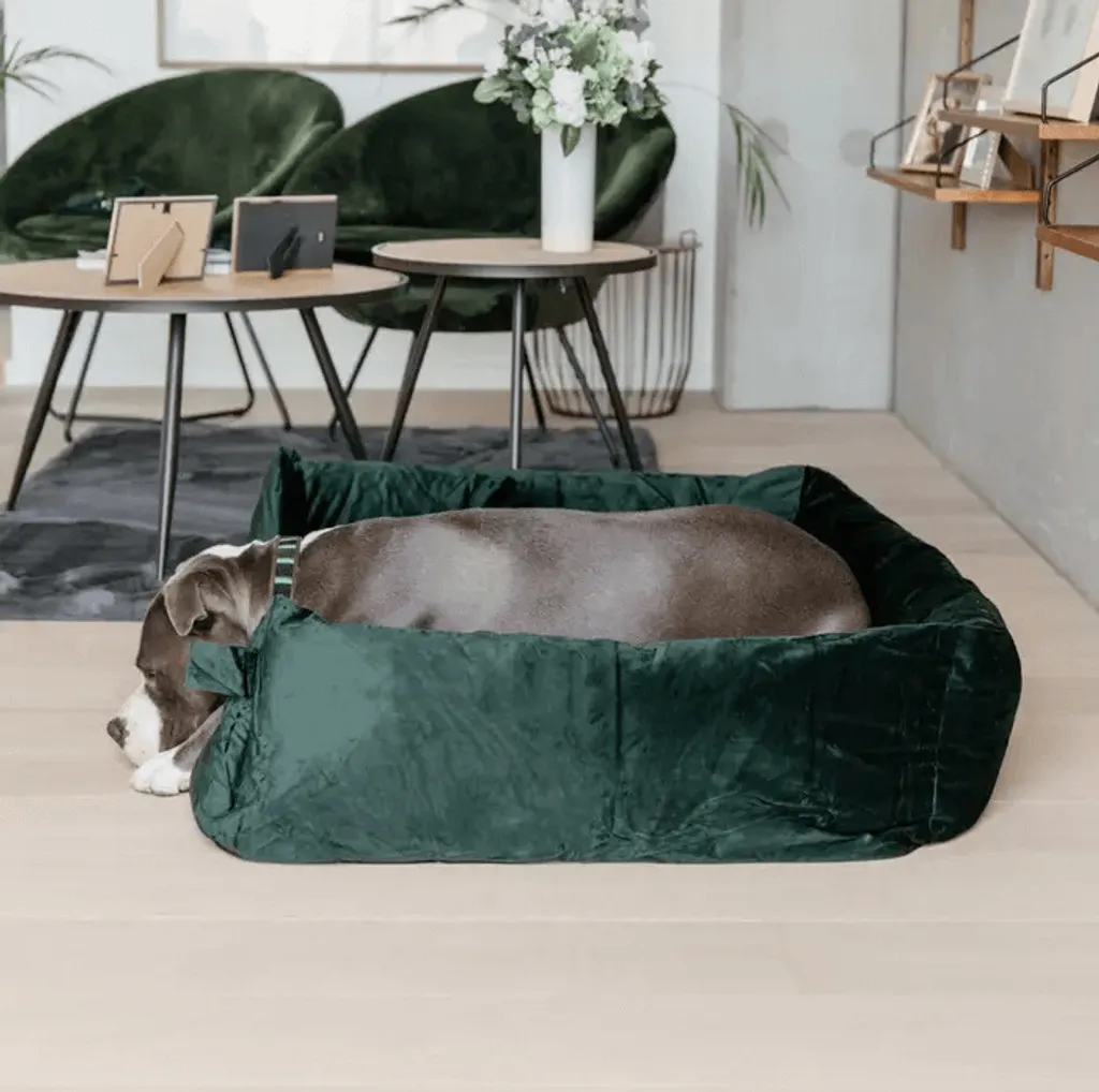 Coussin pour chien en velours vert sapin de marque Kentucky Dogwear