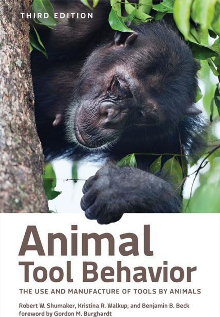 Animal Tool Behavior