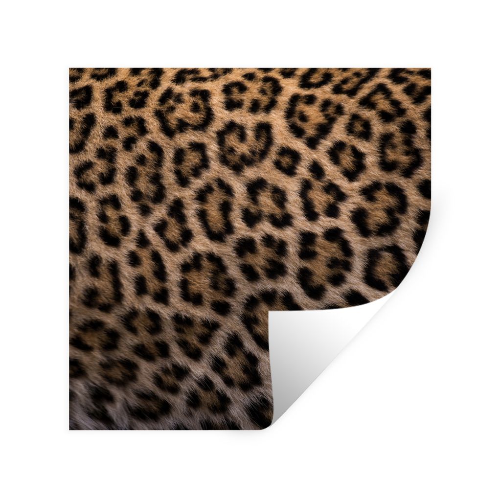 MuchoWow Wandtattoo Wandsticker Wandaufkleber Panther Druck 50x50 cm Selbstklebend und Repositionierbar - Selbstklebend - Fototapeten
