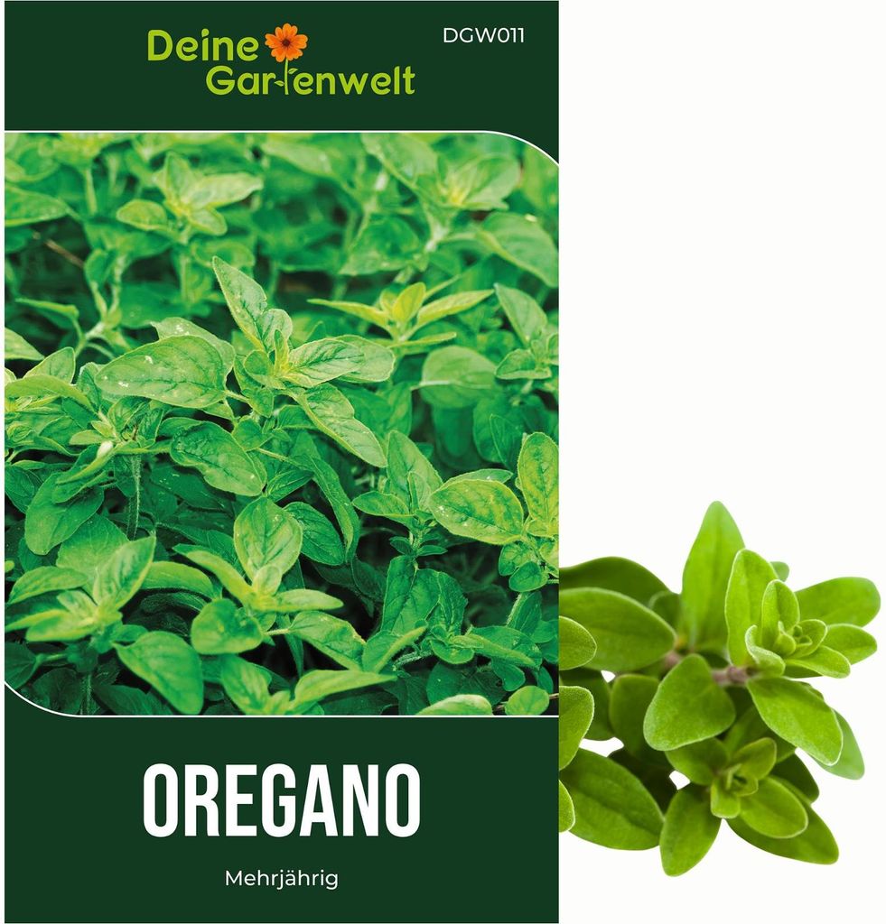 Oregano Mehrjährig Samen - Origanum vulgare - Oreganosamen Produktbild 