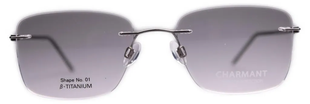 Monture de lunettes homme en titane léger Charmant CH16714E gris