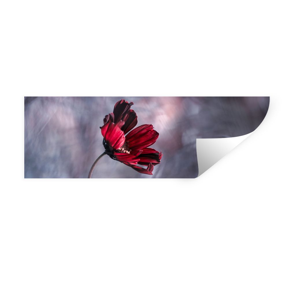 MuchoWow Wandtattoo Wandsticker Wandaufkleber Blumen - Rot - Pflanzen - Natur 90x30 cm Selbstklebend und Repositionierbar - Selbstklebend - Fotot...