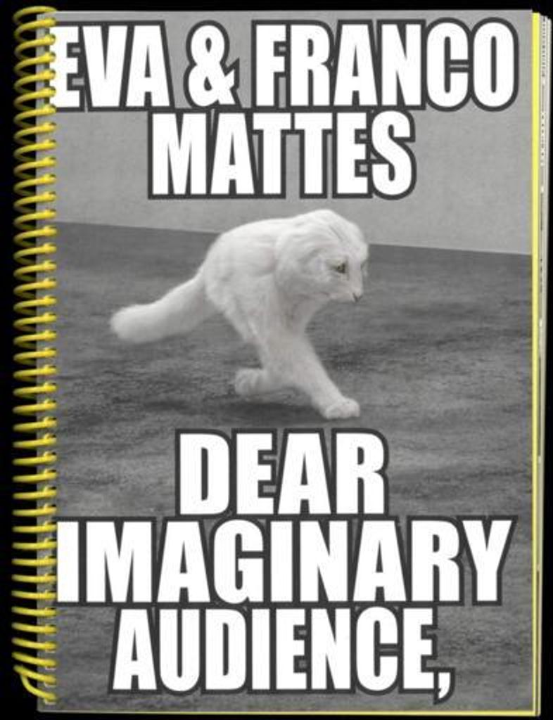 Eva & Franco Mattes. Dear Imaginary Audience
