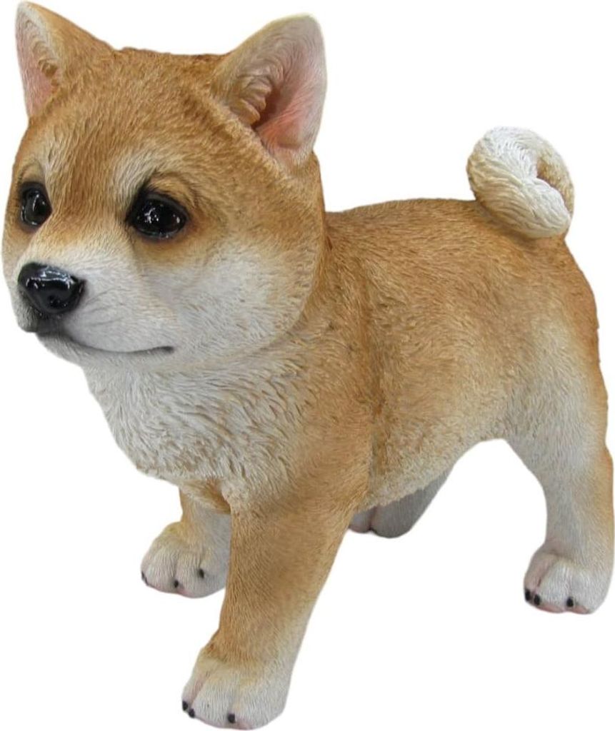 Dekofigur Hund Shiba Inu stehend 21 x 20 x 10 cm hellbraun