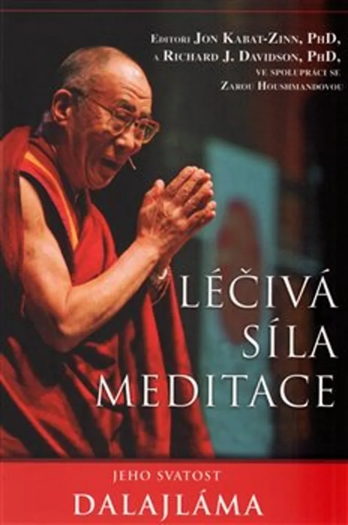 La Force de la Méditation Dalaï-Lama XIV - Sagesse et Guérison Mentale