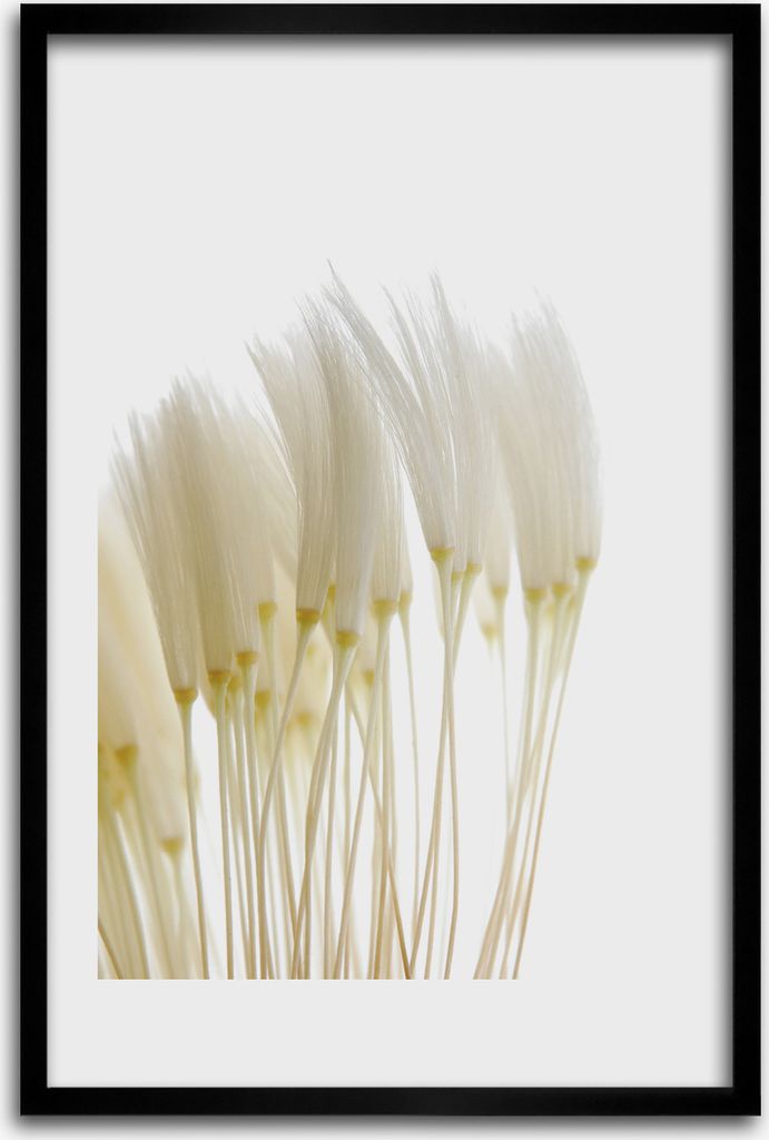 Bild - Bilderrahmen - 40 cm x 60 cm - MDF - Rahmen - Wandkunst - Löwenzahnsamen