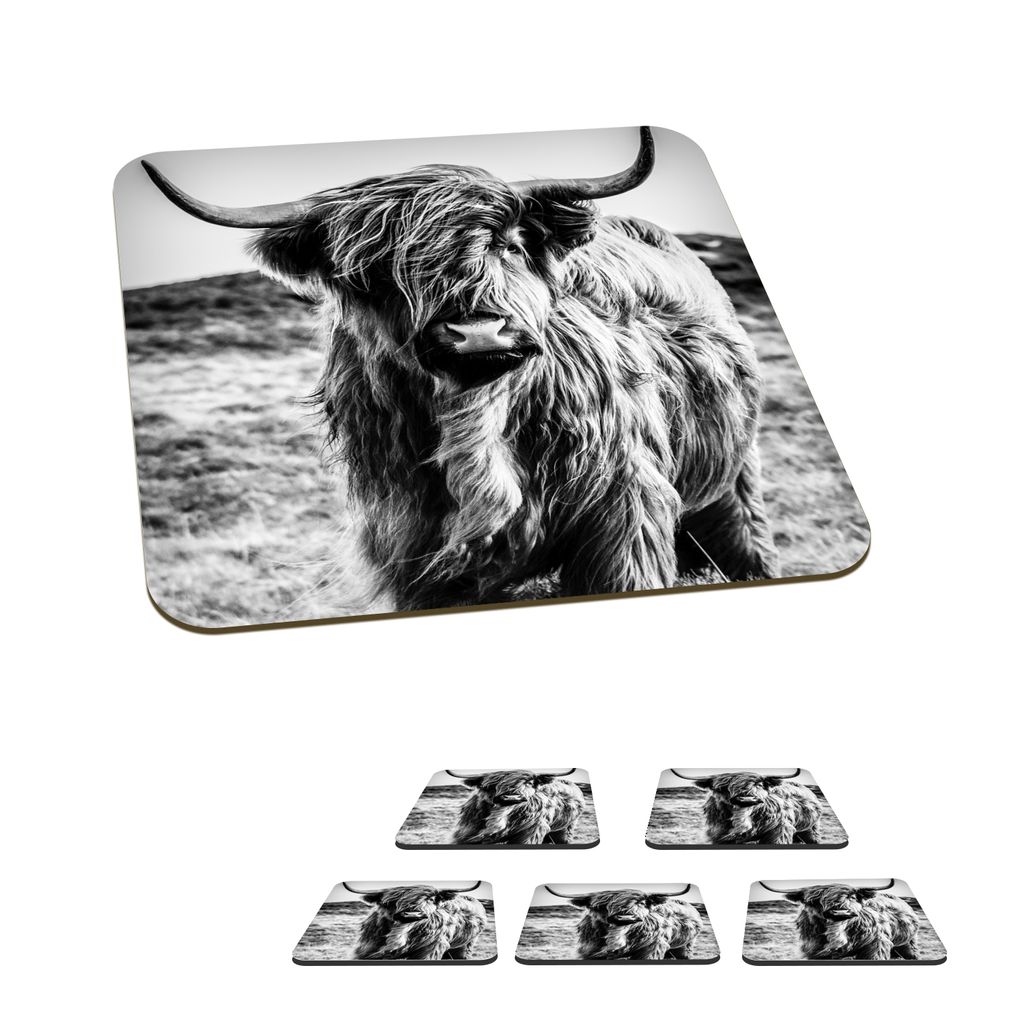 KitchenYeah Glasuntersetzer Quadratisch 6er Set Schottisches Hochlandrind - Natur - Kuh - Schwarz - Weiß 10x10 cm Untersetzer für Gläser - Get...