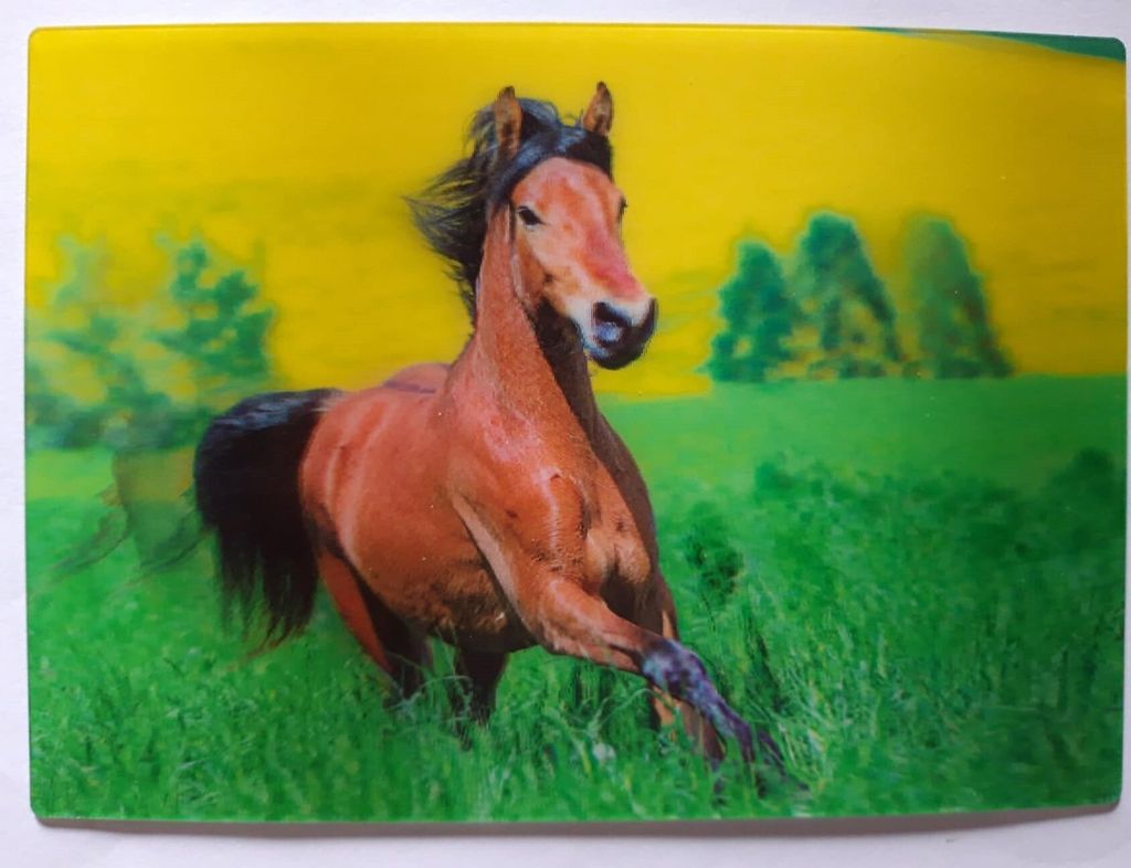 3 D Ansichtskarte braunes Pferd, Pferde Postkarte Produktbild 