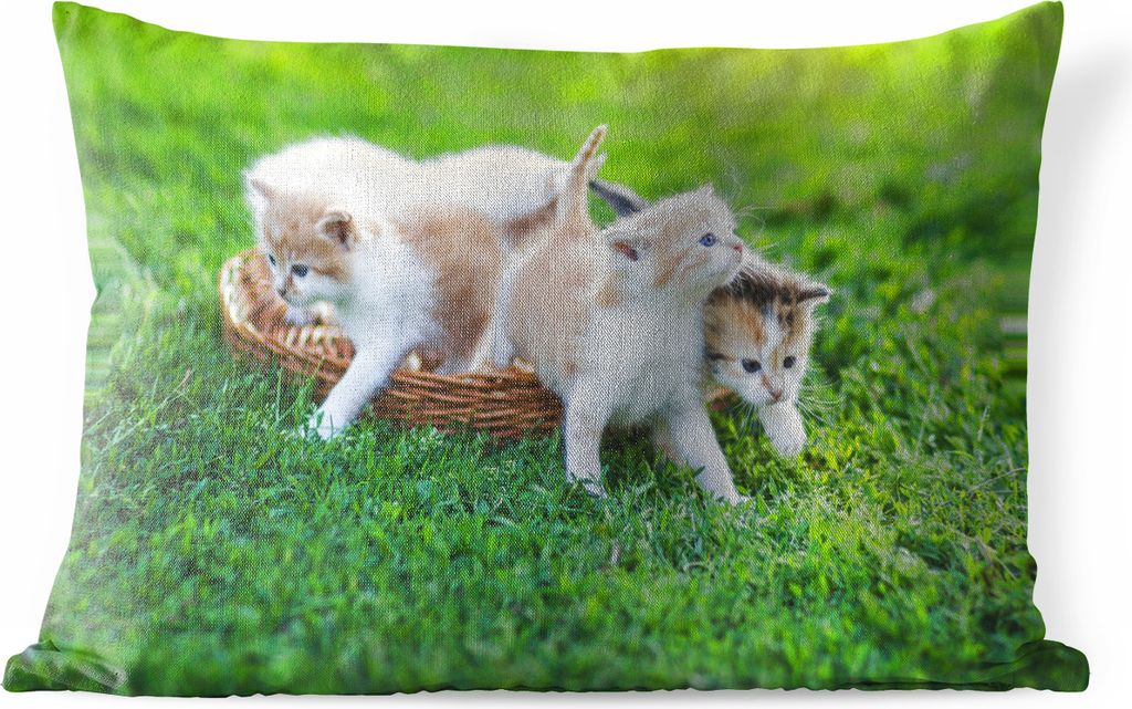 MuchoWow Outdoor Kissen - Kätzchen - Katze - Korb - Mädchen - Kinder - Jungen - Kinder - 50x30 cm - Wetterfest - Lounge Kissen - Sofa kissen - ...