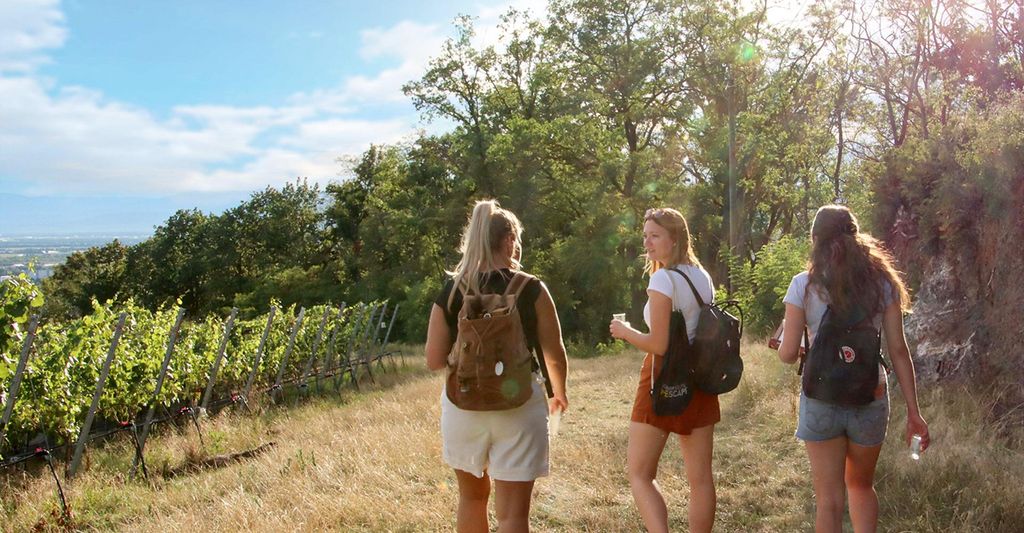 mydays Outdoor Escape Gruppe - Anfänger "In Vino Veritas" Heilbronn; Erlebnis verschenken oder selbst erleben; Gutschein für 5 Person(en)