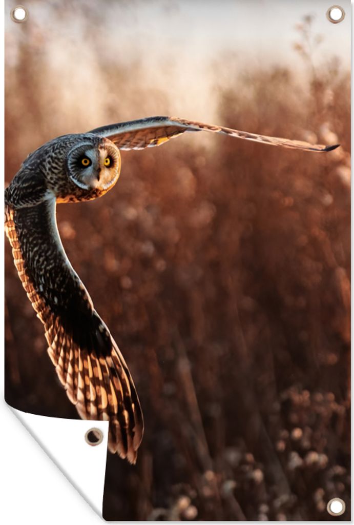 MuchoWow 40x60 cm Outdoor-Poster Gartendeko Sichtschutz Garten Poster für den Garten Vogel - Eule - Sonnenuntergang - Natur