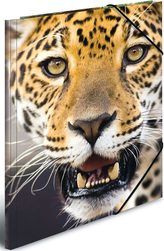 HERMA Zeichenmappen DIN A3 Leoparden, 3 St.