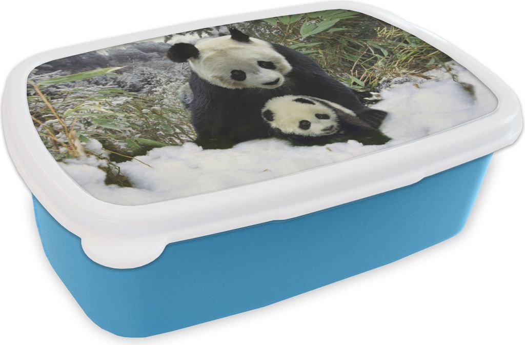 KitchenYeah Lunchbox Brotzeit Brotdose 17x11 cm Panda - Jungtier - Schnee Kinder Brotzeitdose - Lunch - Kunststoff - Brotbüchse - Sandwichbox -...