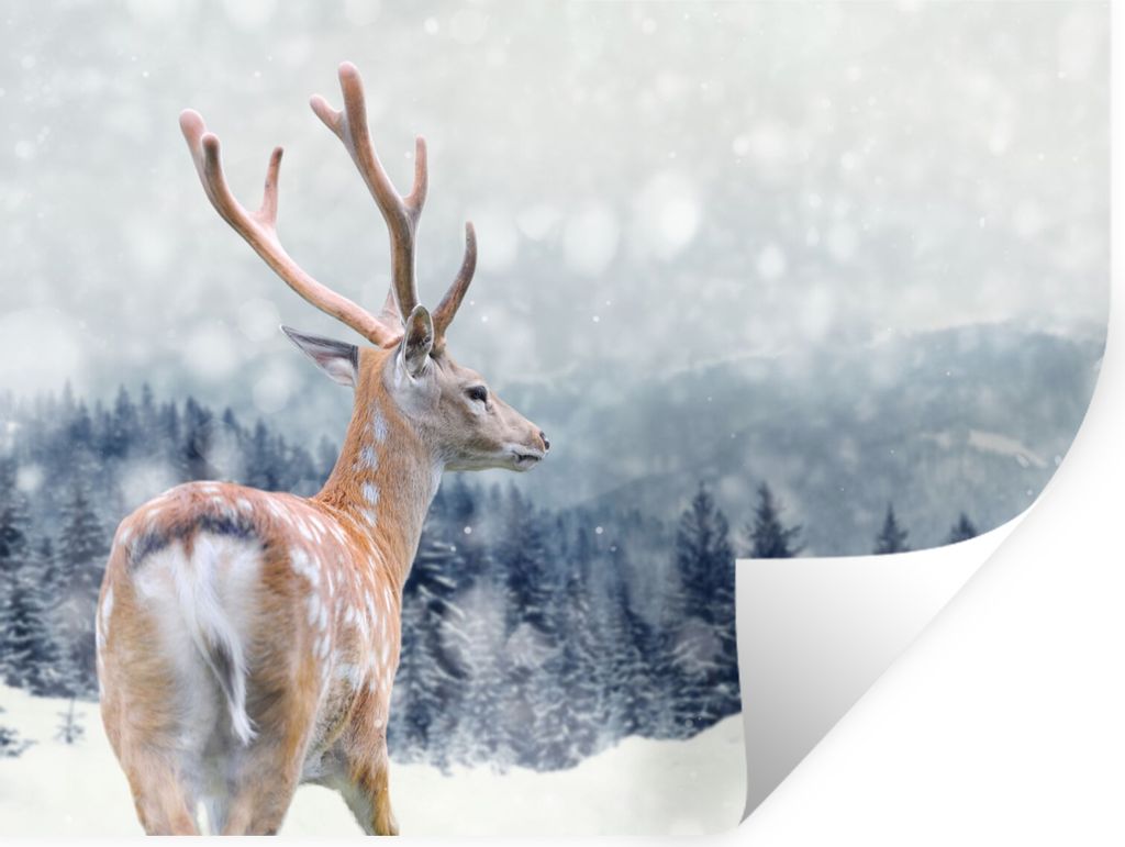 MuchoWow Wandtattoo Wandsticker Wandaufkleber Winter - Hirsche - Tiere 80x60 cm Selbstklebend und Repositionierbar - Faltenfrei