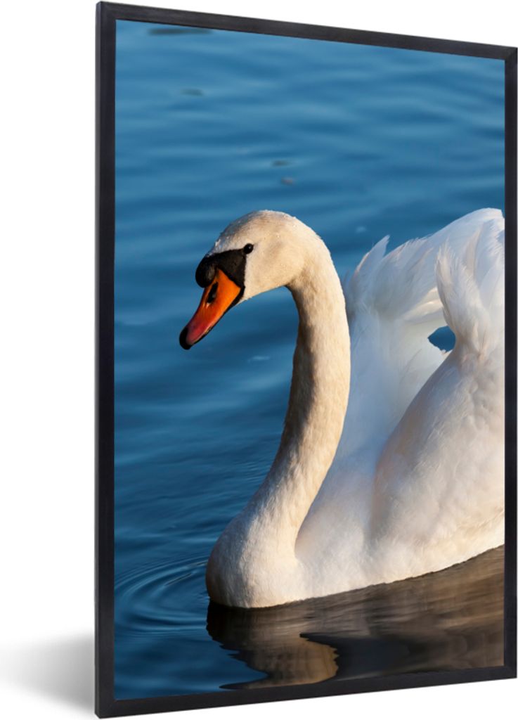 MuchoWow Gerahmtes Poster Schwan - Wasser - Vogel - Weiß 40x60 cm - Poster mit Schwarzem Bilderrahmen Wandposter Rahmen Foto Bilder - Papierdruc...